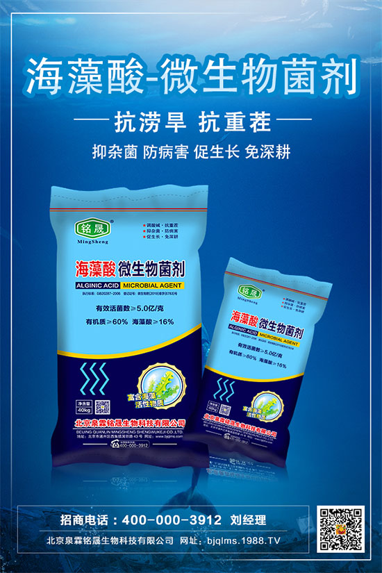 鉀肥市場(chǎng)保持穩(wěn)定，2020.05.09鉀肥價(jià)格行情走勢(shì)分析！