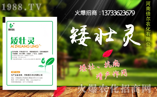 ���ϱ����m(x��)�s1988.TV���y�ֹ���(chu��ng)���x����