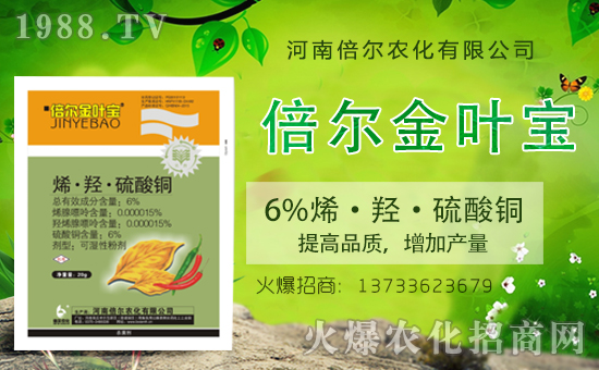 ���ϱ����m(x��)�s1988.TV���y�ֹ���(chu��ng)���x�ͣ�