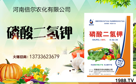 ���ϱ����m(x��)�s1988.TV���y�ֹ���(chu��ng)���x����