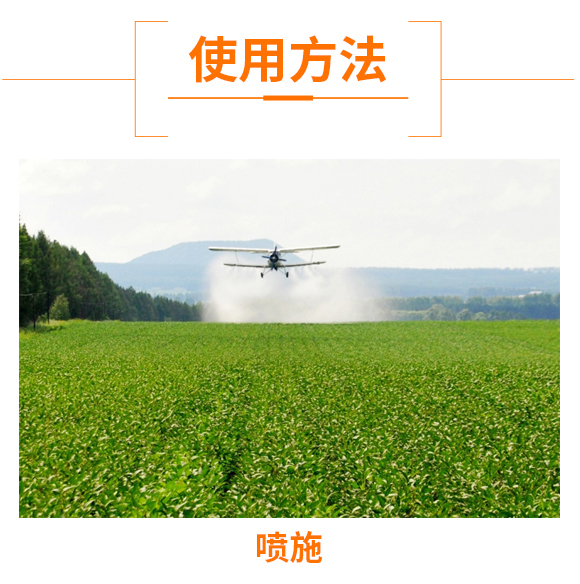 ���@����⛾�-�Z��_08