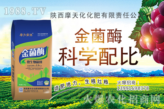 2020�����Nֲǰ����ô���������N�Ӷ����Xһ����