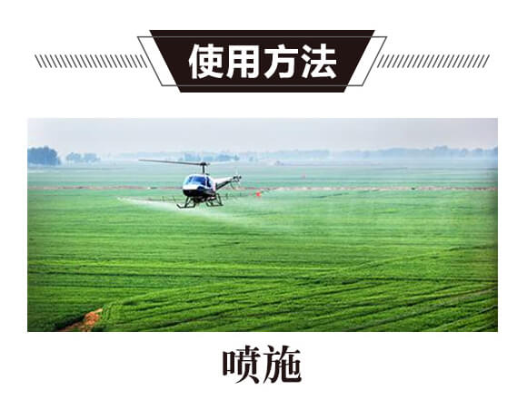 碳氫核肥-紅藻門-碳氫國際_05