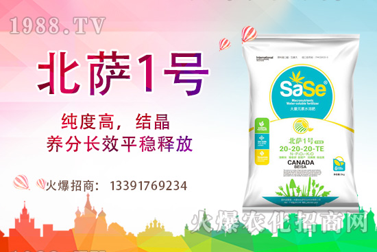 山茶花該怎么養(yǎng)，山茶花養(yǎng)殖方法和注意事項！
