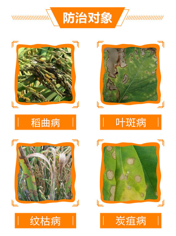 10%己唑醇-斑星杰-生農世澤_05