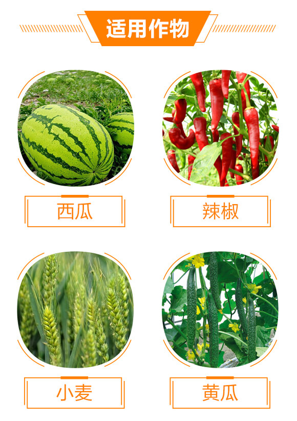 10%己唑醇-斑星杰-生農世澤_04