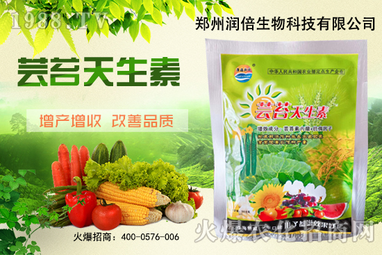 黃連苗期怎么管理？黃連苗期病蟲害防治！