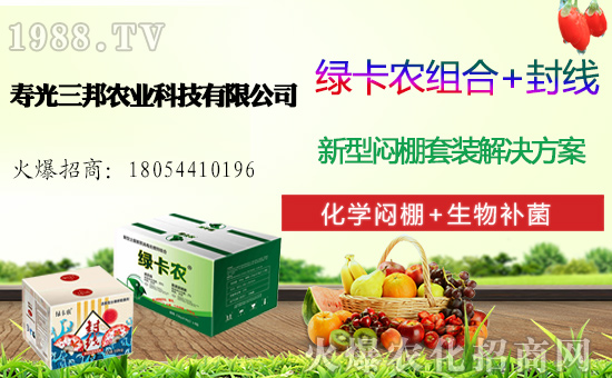 白菜多少錢一斤，一畝地產(chǎn)多少斤白菜，白菜種植前景及利潤分析！