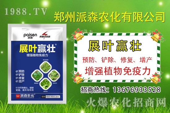 韭菜什么時(shí)候播種？韭菜市場前景如何？（種植成本及利潤分析）