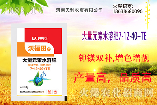 朱頂紅怎么養(yǎng),朱頂紅的養(yǎng)殖方法和注意事項(xiàng)!