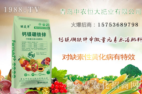 韭菜什么時(shí)候播種？韭菜市場(chǎng)前景如何？（附種植成本及利潤(rùn)分析）