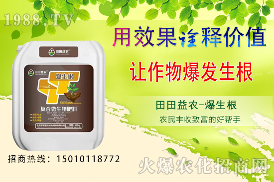 六月可以種植的蔬菜有哪些？六月種蔬菜管理要點！