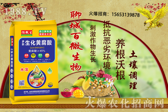 玉米在什么時期追肥，用什么肥料？玉米追肥有什么注意事項？