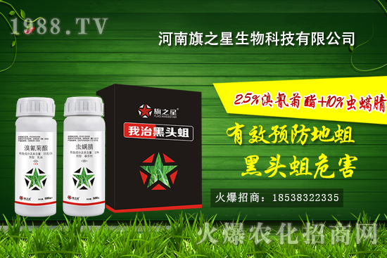 什么是韭蛆，韭蛆發(fā)生規(guī)律，韭蛆無公害防治方法！