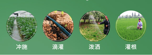 農(nóng)夫稼園生物技術(shù)有限公司2_10