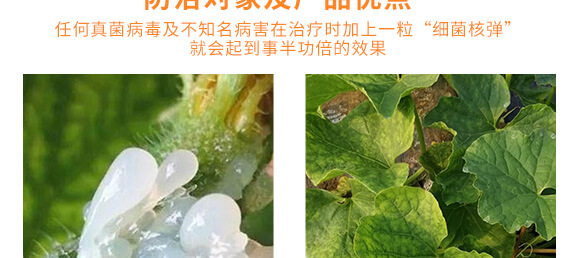 農(nóng)夫稼園生物技術(shù)有限公司1_09