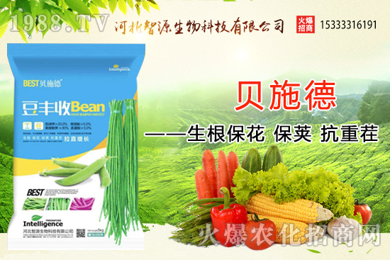 �ӱ���Դ�ٶȔy��1988.TV���y�ֹ���(chu��ng)��(zh��n)����