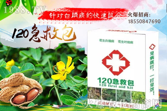 �ȹ����緽������Щ���ȹ���ô���Զ�ֲ��