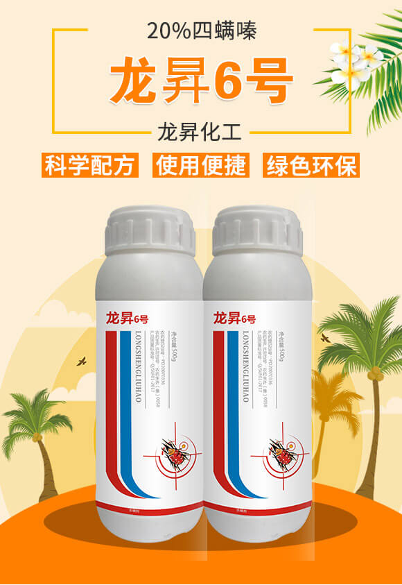 20%�����-���N6̖(h��o)-���N����_02