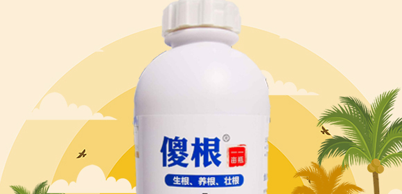 ɵ��-���S_02