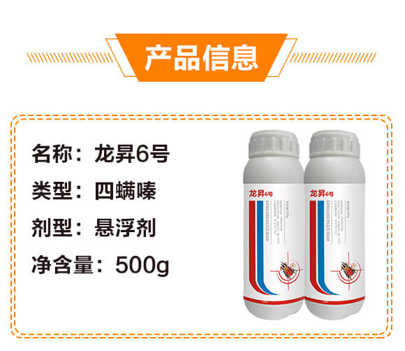 20%�����-���N6̖(h��o)-���N����_03