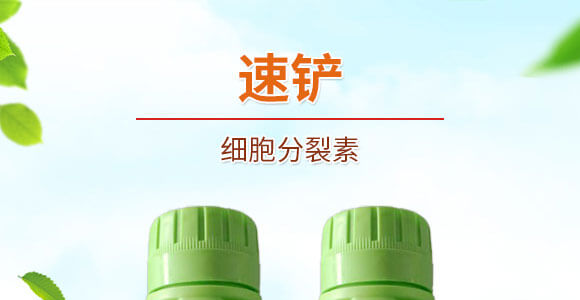 細胞分裂素-國豐健園_01