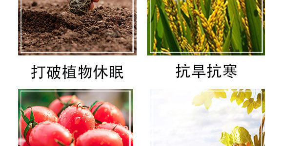 細胞分裂素-國豐健園_05