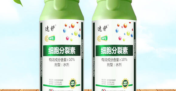 細胞分裂素-國豐健園_02