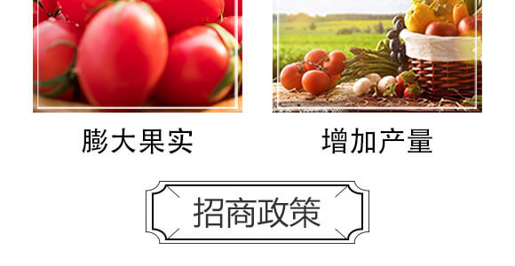 細胞分裂素-國豐健園_06