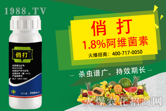 菜青蟲危害大,該怎么防治?菜青蟲專用藥劑推薦!