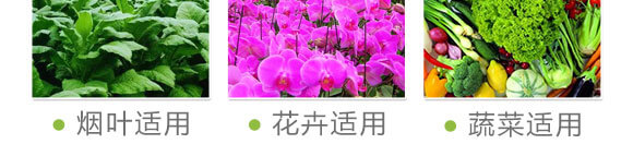 細胞分裂素-國豐健園_09