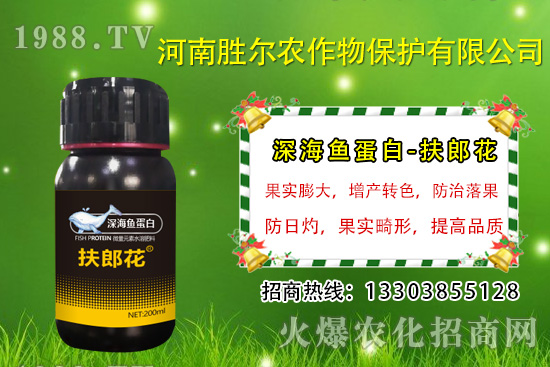 2020年7月13日今日國(guó)內(nèi)磷銨價(jià)格行情及交易日評(píng)