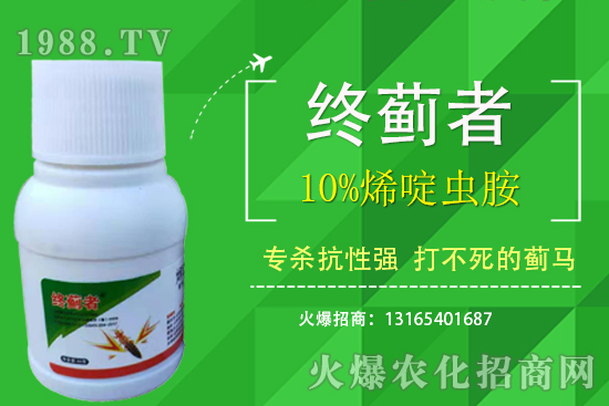 10%烯啶蟲(chóng)胺能打薊馬嗎？有什么特點(diǎn)？10%烯啶蟲(chóng)胺使用注意事項(xiàng)！