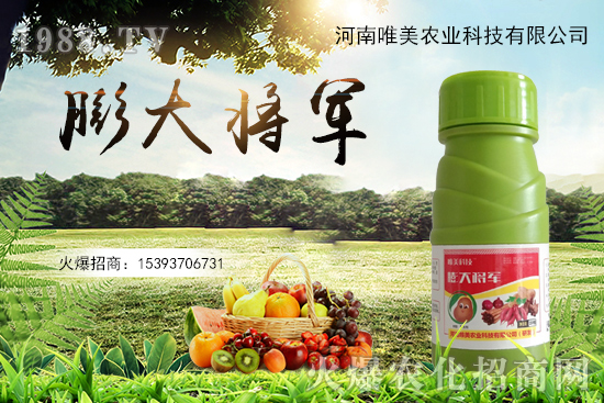 果實(shí)膨果慢、果實(shí)小怎么解決？果實(shí)膨果肥的選擇有哪些？