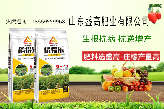 盛高肥業(yè)怎樣，有哪些優(yōu)勢？公司主打產(chǎn)品有哪些？