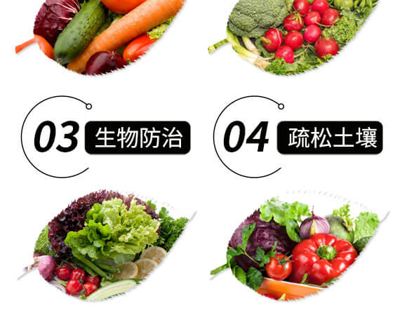 高濃縮復合微生物菌劑EM菌-生根快-金匠星_05