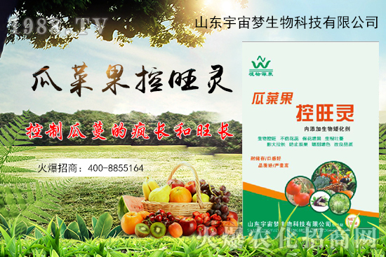 夏季高溫瓜菜果徒長，怎么解決？瓜菜果控旺產(chǎn)品怎么選？