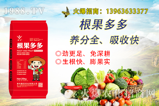 膨果慢！生根差！怎么辦？“根果多多”帶你探索果實(shí)膨果生根真諦！