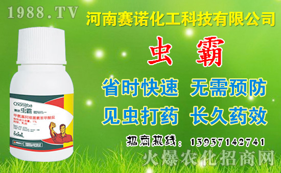 �x(ch��ng)�Ժ���(b��o)