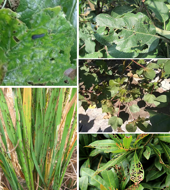 �x(ch��ng)���ϼ�