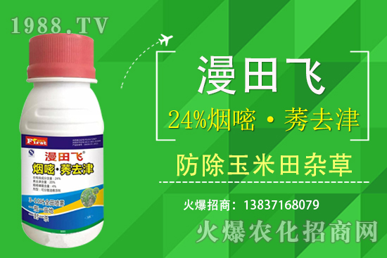 24%煙嘧·莠去津除草效果好嗎?24%煙嘧·莠去津有什么特點?