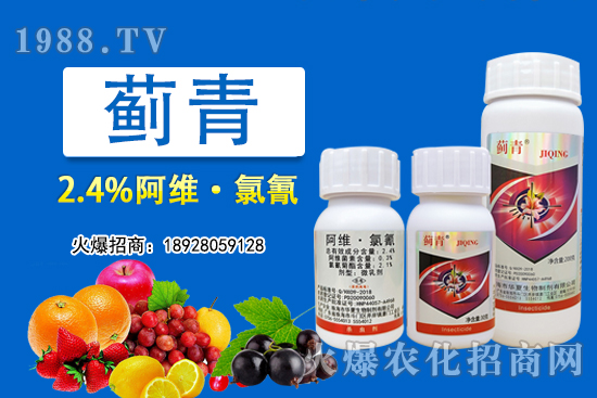 2.4%阿維·氯氰能打薊馬嗎？2.4%阿維·氯氰使用方法！