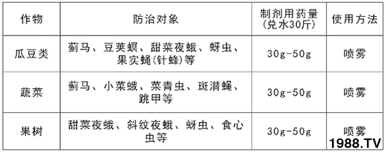 2.4%阿維·氯氰能打薊馬嗎？2.4%阿維·氯氰使用方法！