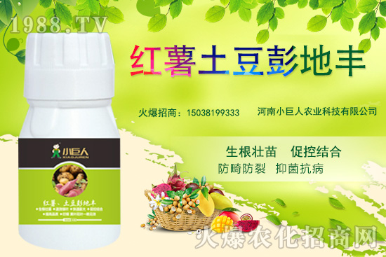 河南小巨人怎么樣?公司有什么優(yōu)勢(shì)?主推產(chǎn)品有哪些?