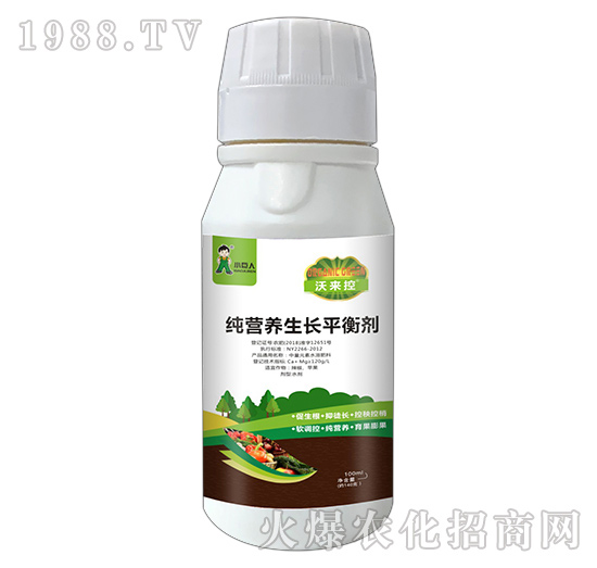 河南小巨人怎么樣?公司有什么優(yōu)勢(shì)?主推產(chǎn)品有哪些?