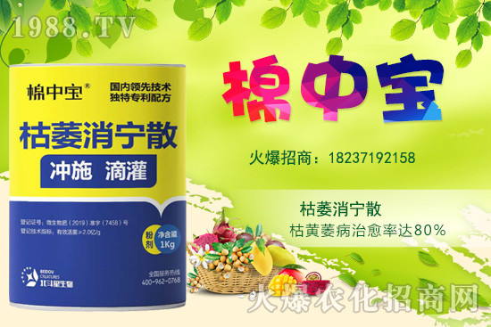 【品牌推薦】河南北斗星有什么優(yōu)勢(shì)？北斗星旗下產(chǎn)品有哪些？