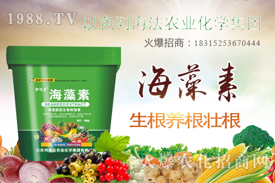 海法農(nóng)業(yè)為啥這么牛？海法農(nóng)業(yè)生產(chǎn)特色是什么？主打哪些產(chǎn)品？