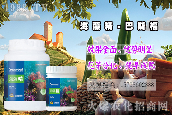  還不了解海藻精是啥？那你就真的out了！海藻精作用有多大？