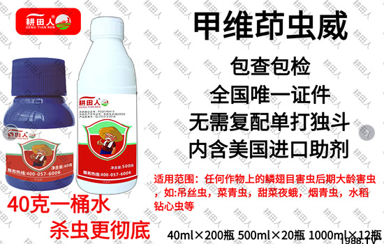 ����Ʒ�r(n��ng)ˎ�������¼Z�}������������ô�������x���a(ch��n)Ʒ����Щ��