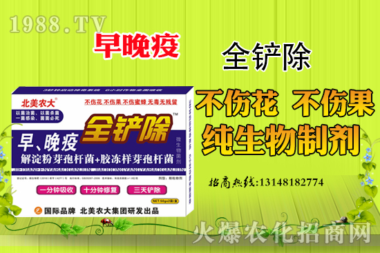 早晚疫危害嚴(yán)重，早晚疫防治措施有哪些？